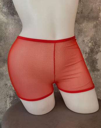 rot mesh shorts